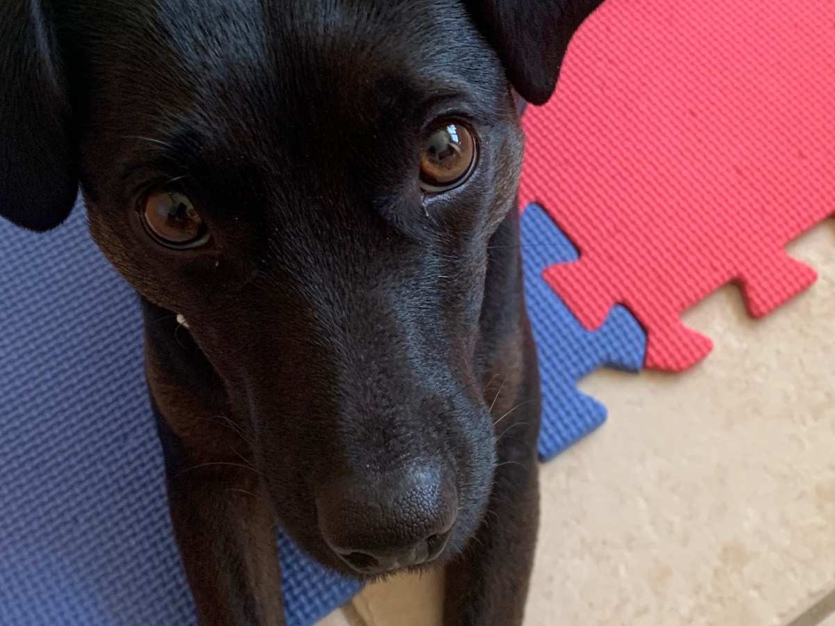 Find It – Morning&nbsp;Activity