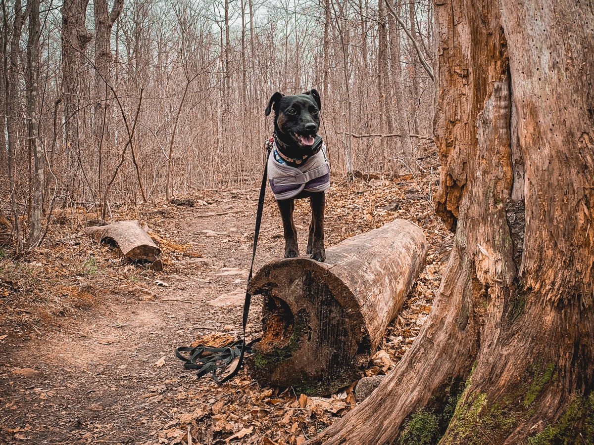 Fun Way To Proof&nbsp;Stays