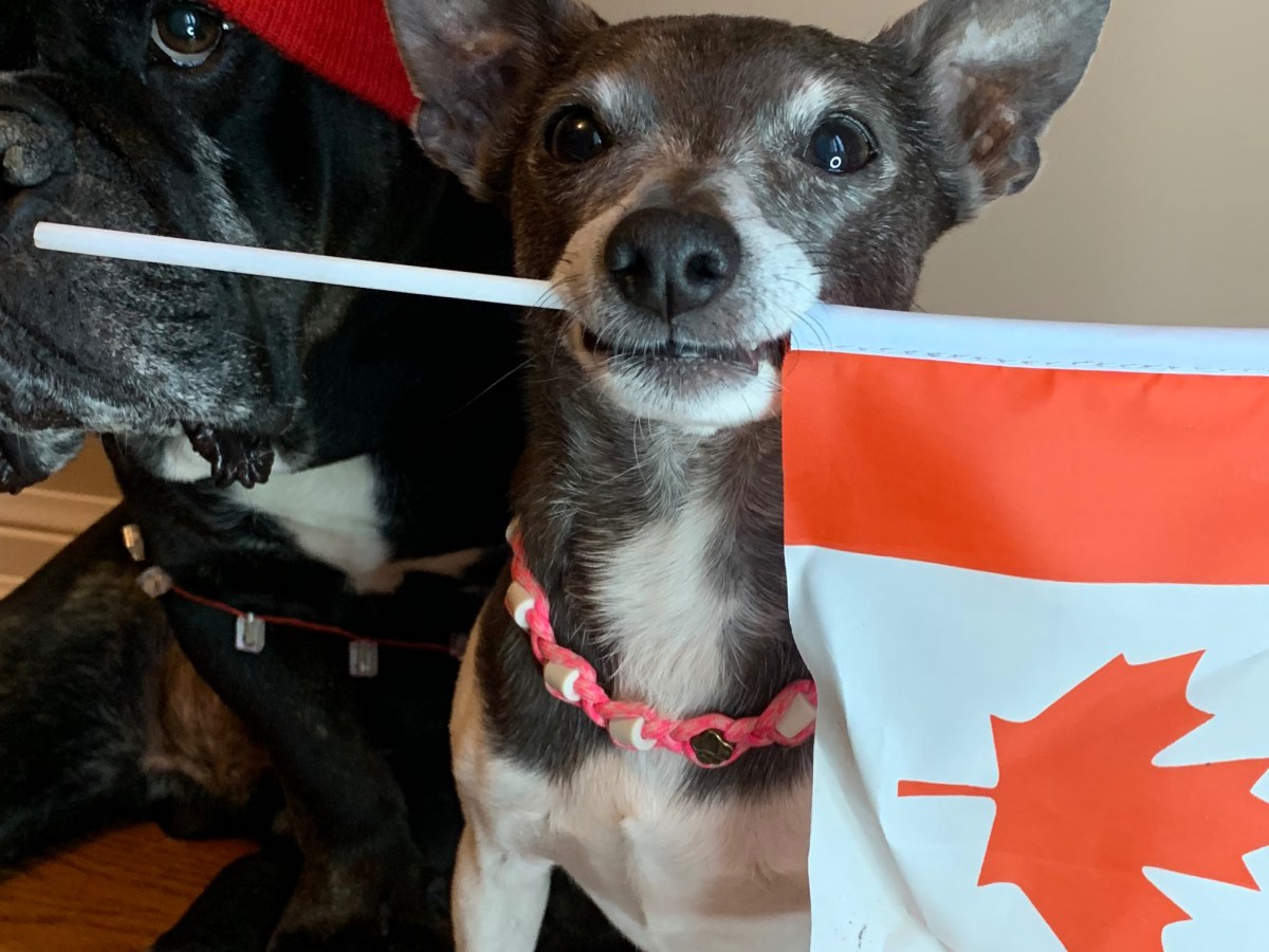 Happy Canada Day!