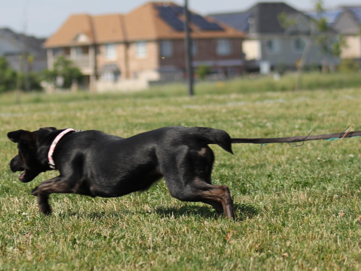 The Things You Can’t Train&nbsp;For