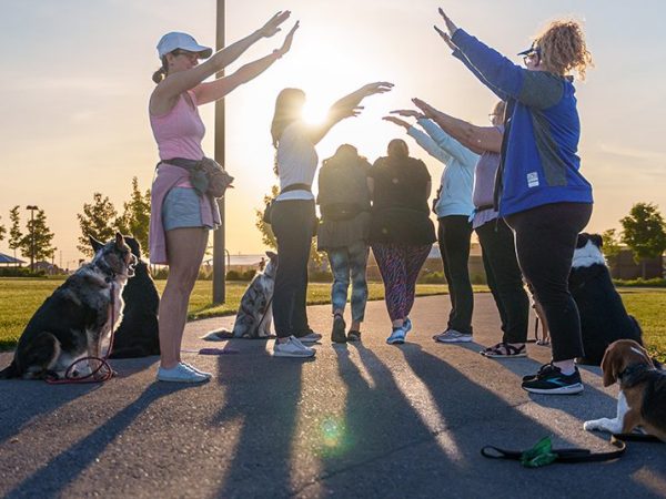 Being Fun and Creative is&nbsp;Under-Rated