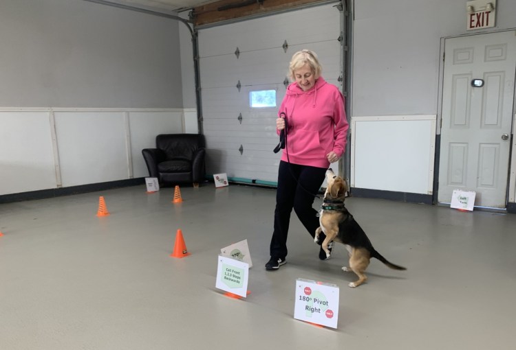 rally obedience milton ontario